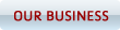 Our Business